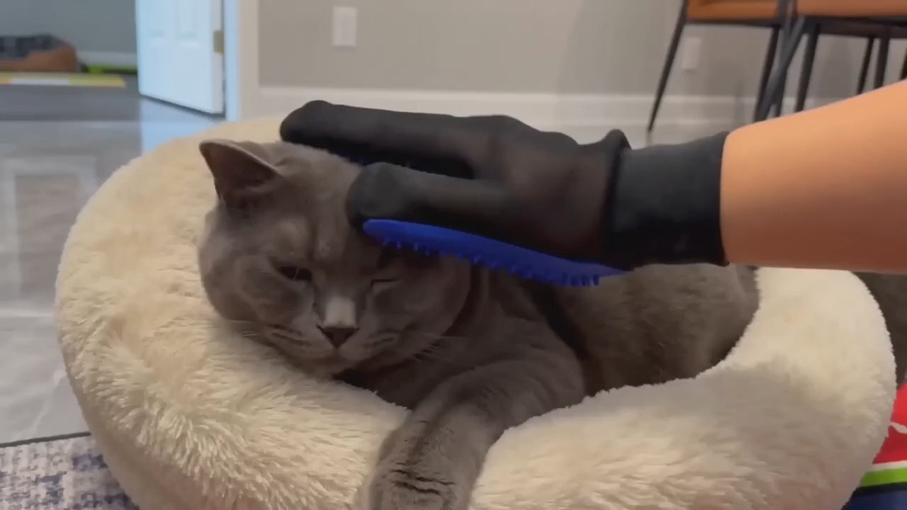 The Royal Grooming Mitt Glove for Dogs & Cats | Crownwell Pet Co
